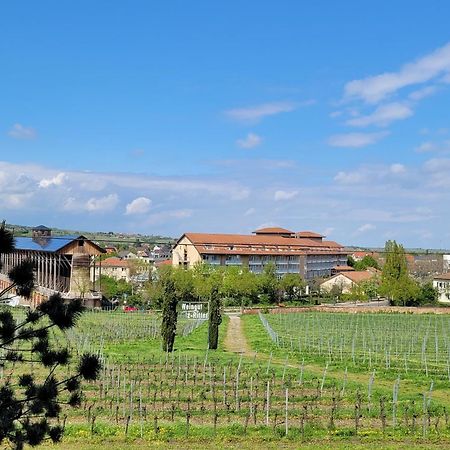 Ihr Bett Mit Blick Auf Die Weinberge Apartment Bad Duerkheim Exterior photo