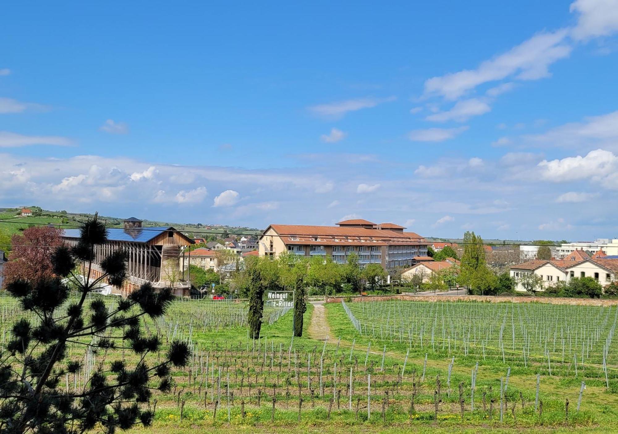 Ihr Bett Mit Blick Auf Die Weinberge Apartment Bad Duerkheim Exterior photo