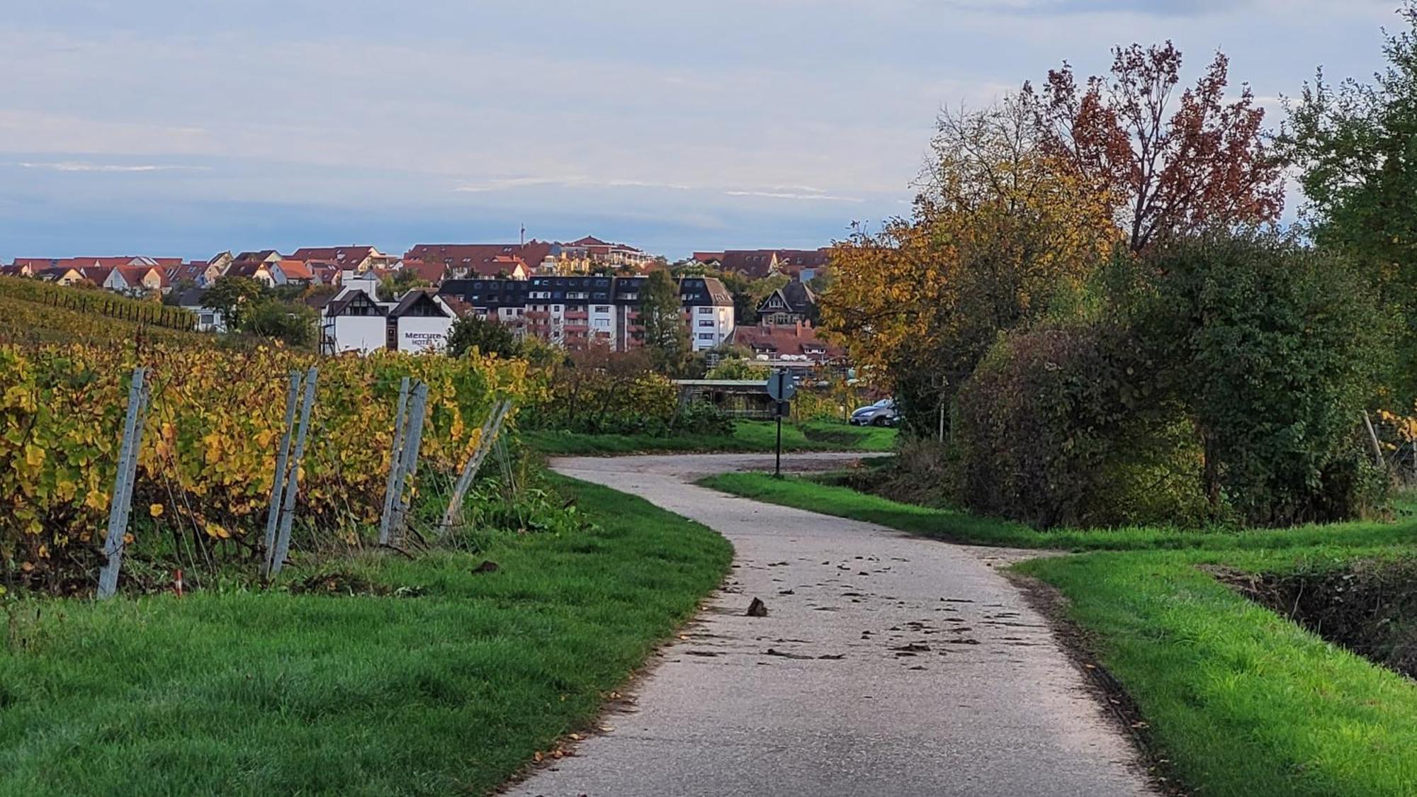 Ihr Bett Mit Blick Auf Die Weinberge Apartment Bad Duerkheim Exterior photo