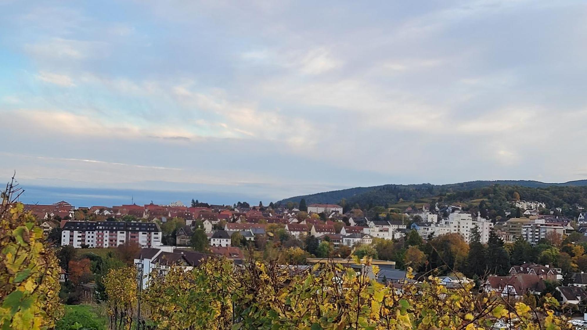 Ihr Bett Mit Blick Auf Die Weinberge Apartment Bad Duerkheim Exterior photo