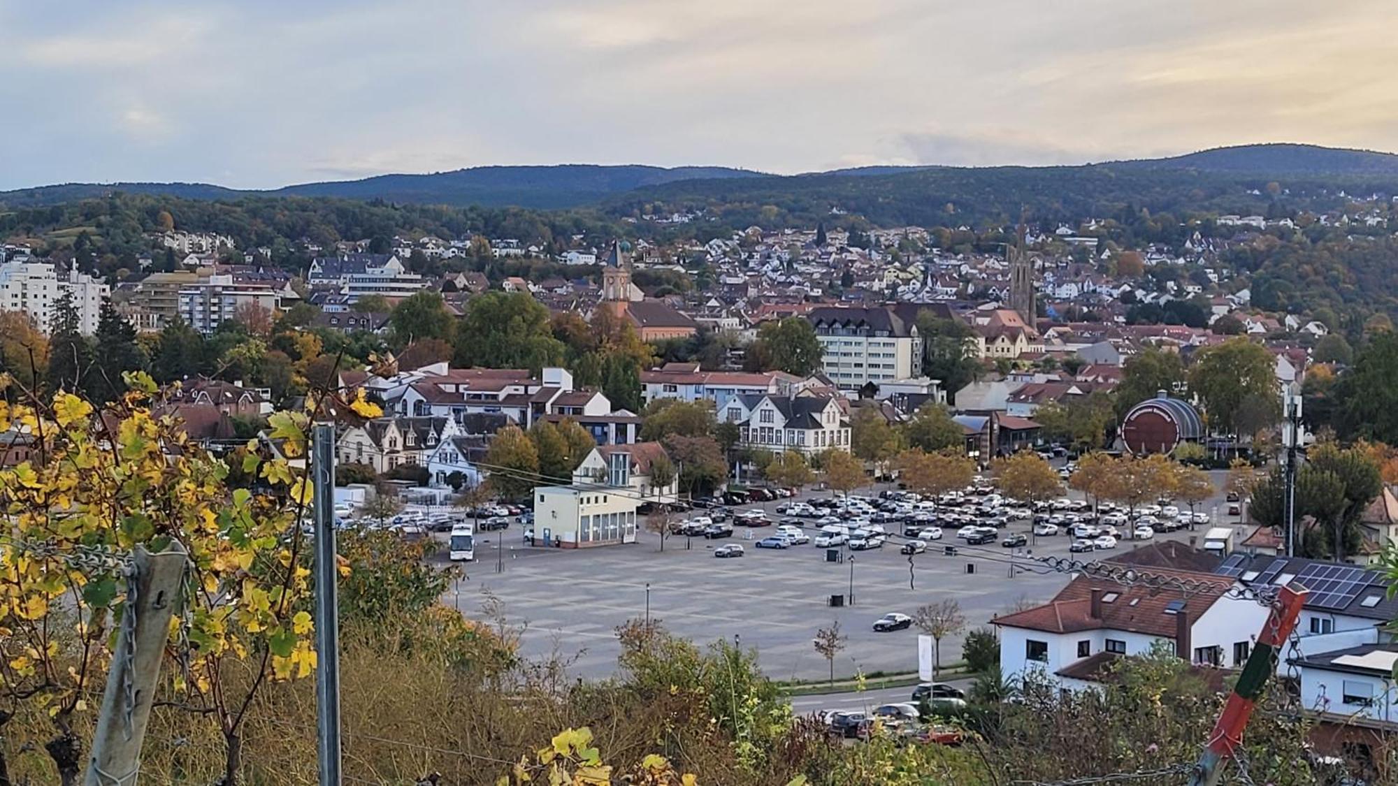 Ihr Bett Mit Blick Auf Die Weinberge Apartment Bad Duerkheim Exterior photo